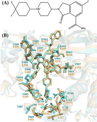 Molecular Mechanism of Selective Binding of NMS-P118 to PARP-1 and PARP-2: A Computational Perspective